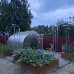 Виноградная арка — изображение 5
